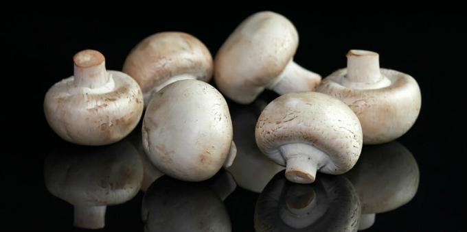 Sēnes - šampinjonu mushroomy