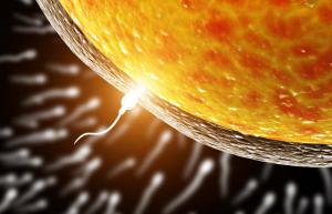 Olšūna izvēlas spermu apaugļošanai, un nevis otrādi: zinātniekiem