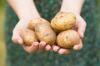 Cietes diēta: kā pareizi un ātri zaudēt svaru uz kartupeļiem