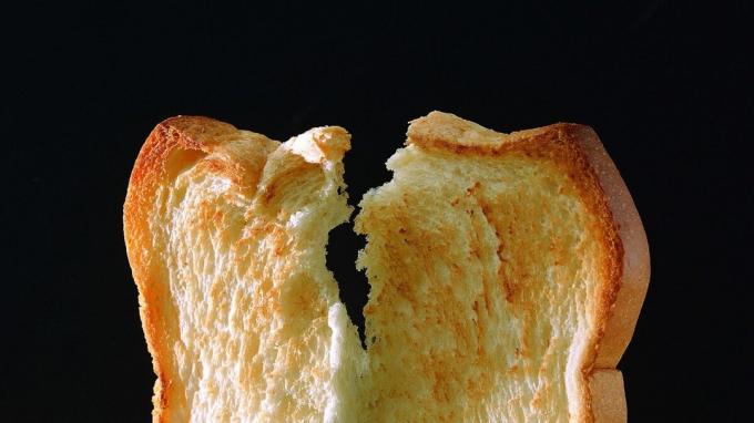 Tostermaize maize - maizes grauzdiņi