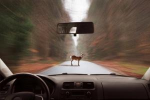 Autovadītāji uzmanies no ceļa: 3 galvenos riska faktorus