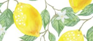 Lemon - vēl skābu vai sārmu pārtikas produkti?