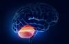 Audzējs smadzenītēs: patoloģijas simptomi